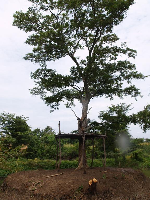 Welimaluwa Resort Sigiriya Kibissa Eksteriør bilde
