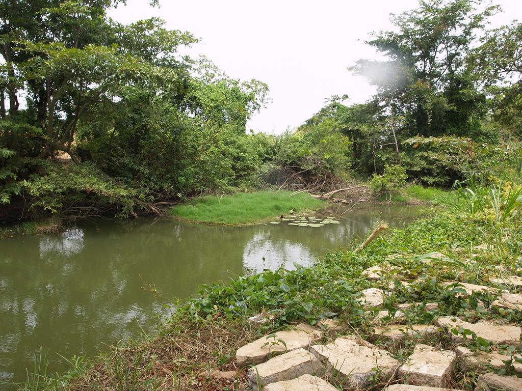 Welimaluwa Resort Sigiriya Kibissa Eksteriør bilde